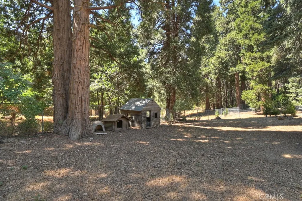 386 Garden Drive, Cedarpines Park, California 92322 home-pic-39